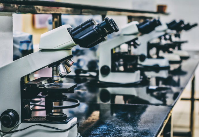 microscopios opticos del centro de investigacion InBOL