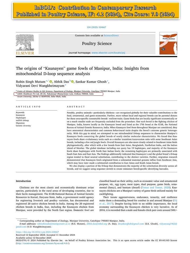 Kaunayen paper_3