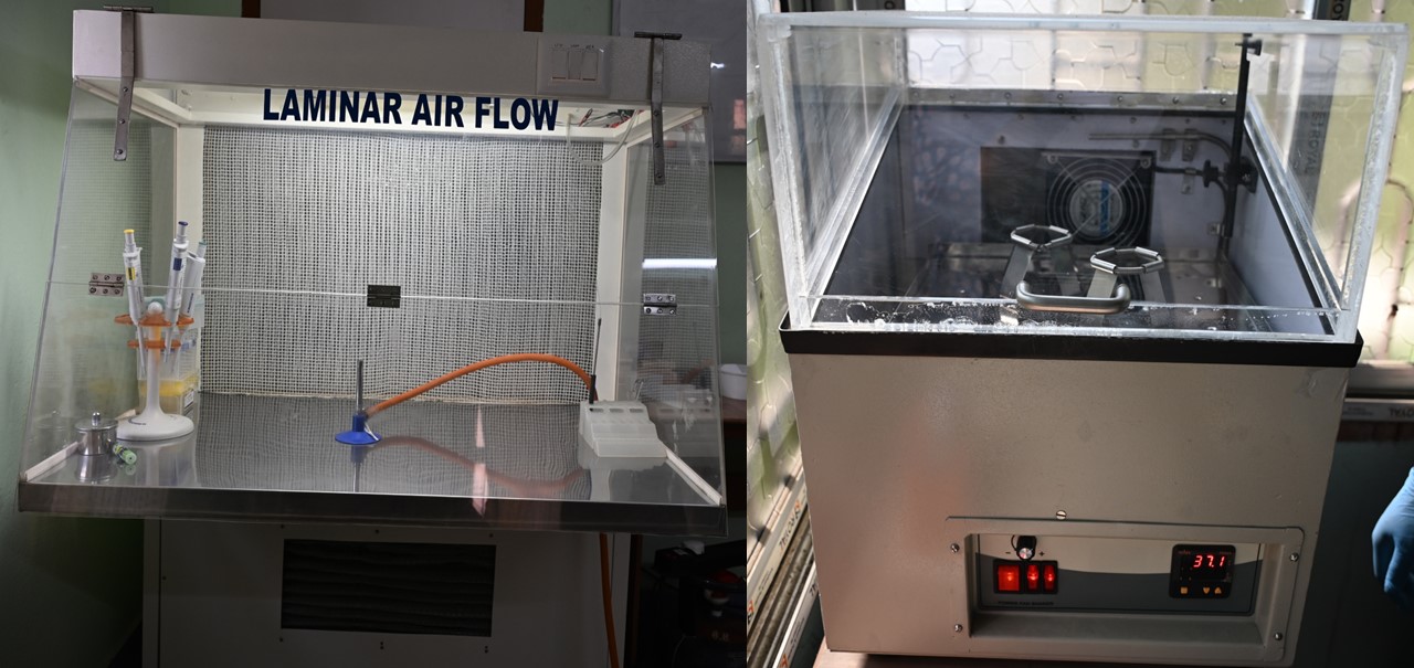 Laminar Air Flow-PCR Chamber and RDT Setup 